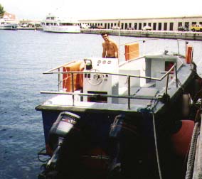 beluga.jpg (20205 octets)